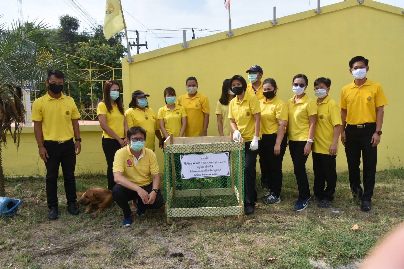 ﻿สำนักงานบังคับคดีจังหวัดกาญจนบุรี จัดกิจกรรมปลูกต้นไม้ประจำปีของชาติ